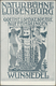 Ansichtskarten: Bayern: FRANKEN: 8 Ansichtskarten - NÜRNBERG, 1892 Gasthaus Zum Frauenthor Mit Pferd - Sonstige & Ohne Zuordnung