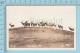 Elk, Wapiti - Real Photo On AZO Paper Wainwright Park , Alberta  Canada, Cir: 1926-1940 - Autres & Non Classés