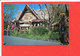 DISNEYLAND DISNEY Post Card Descriptif Au Verso - Disneyland