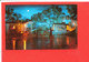 DISNEYLAND DISNEY Post Card Descriptif Au Verso - Disneyland