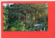 DISNEYLAND DISNEY Post Card Descriptif Au Verso - Disneyland