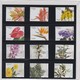 PORTUGAL STAMPS  MADEIRA - FLOWERS AND PLANTS MNH - Libretti