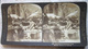 FOTOGRAFIA STEREOSCOPICA MARKET SCENE IN CONSTANTINOPLE TURCHIA TURKEY ANNO 1901 - Stereoscopes - Side-by-side Viewers