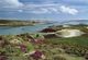 CPM - The St Martin's Hotel Seen From  Isles Of Scilly - Timbre Aircraft Of B.E.A - Trident  G - ARPA - 1964 - Scilly Isles