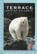 Ours, Bears - The Kermodei Bear, A Subspecies Of Black Bear..., Terrace Area Canada - Ours