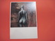 CPSM  FEMME NUE De Dos Jean Saudek T.B.E. - Femmes