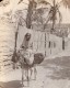 Colombie Santa Marta Femme Et Son Ane Allant Au Marche? Ancienne Photo GJ Becker 1910's - Plaatsen