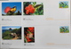 4 Enveloppes Illustrées Prêts-à-poster Colibri à Tête Bleue - Envoi Lettre Prioritaire 20gr Validité Monde Entier - PAP: Sonstige (1995-...)