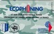 FRANCE - Ecophoning KFOR - Salamandre Logo (green) Prepaid Card , 20.000 Tirage, Used - Sonstige & Ohne Zuordnung