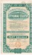 Action Ancienne - Compagnie Immobilière Du Littoral-Ouest - Titre De 1928 - - Toerisme