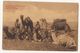 AFRICA - CAMELS RESTING - 1920s ( 2183) - Non Classificati