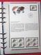 Album De L'Administration Postale Des Nations Unies - Novembre 1980 à Mars 1981 - Collections (en Albums)
