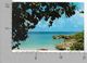 CARTOLINA VG CAYMAN - GRAN CAYMAN - Smith's Cove - 10 X 15 - ANN. 1979 - Kaaimaneilanden