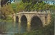 ANGLETERRE--THE BRIDGE CLUMBER PARK.--voir 2 Scans - Autres & Non Classés