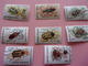 Lot Timbres Insecte Roumanie - Autres & Non Classés