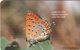 CHIPRE. FAUNA. BUTTERFLY - MARIPOSA. Lycaena Thersamon. 1101CY. (033) - Chipre
