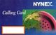 CARTE PREPAYEE ETATS-UNIS  NYNEX  Crédit Calling Card - Nynex