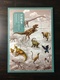 China 2017-11 Dinosaurs Maximum Card Set With Sleeve, Postal Office Fresh - Maximum Cards