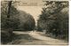 CPA - Carte Postale - France - Bourg - Un Sous Bois - Vue Prise Dans La Forêt De Seillon - 1913 (CP368) - Other & Unclassified