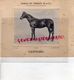 78- LE PERRAY- RARE DEPLIANT AVEC PHOTO ORIGINALE HARAS DU PERRAY-CANNOBIE-ANTOINE MAY- SAISON 1921- POLYMELUS-LA ROCHE - Documents Historiques