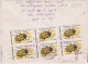 BO TV CHANNEL ADVERTISING POSTMARK, MARTEN, BEETLE, STAMPS ON COVER, 1997, ROMANIA - Cartas & Documentos