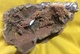 C2 - 3 Hématite Pseudomorphose Barytine Irhoud Maroc - Mineralien