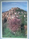 CORDES / LOT DE 2 BELLES CARTES PHOTOS / LIRE DESCRIPTIF - Cordes