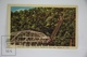 Vintage Postcard USA Pennsylvania - Inclined Plane, Steepest In The World For Pedestrian And Vehicle Traffic - Otros & Sin Clasificación