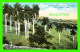 MATANZAS, CUBA - VIEW ENTERING VALLEY OF THE YUMURI - ANIMATED - UNDIVIDED BACK - - Cuba