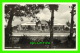 BERMUDA - AQUARIUM - PUB. BY WALTER RUTHERFORD & A. J. GORHAM - - Bermudes