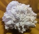 C4 - 17 Calcite Manganifère Asturies Espagne - Minerals