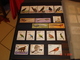 Delcampe - ALBUM CONTENANT BELLE COLLECTION DE TIMBRES SUR LES OISEAUX DANS LE MONDE - Collections (with Albums)