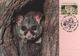 Australia 2017 Postally Used Maximum Card,sent To Italy,1992 Australain Wildlife,Common Brushtail Possum - Maximum Cards