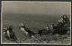 GB Puffin Island, Anglesey Postcard - Timperley - Covers & Documents