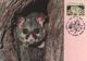 Australia 2017 Postally Used Maximum Card,sent To Italy,1992 Australain Wildlife,Common Brushtail Possum - Maximum Cards