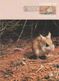 Australia 2017 Postally Used Maximum Card,sent To Italy,1992 Threatened Species,Dusky Hopping-Mouse - Maximum Cards