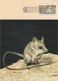 Australia 2017 Postally Used Maximum Card,sent To Italy,1992 Threatened Species,Long Tailed Dunnart - Maximum Cards