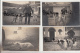 BAGNEAUX SUR LOING       5 CARTES PHOTO  M PELISSON ET SES CHIENS - Bagneaux Sur Loing