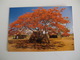 Postcard Postal Malawi - Malawi