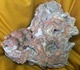 C5 - 5 Cornaline Dabo 57 - Mineralien