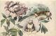 - Themes -ref-A285- Animaux - Renards - Renard - Foxes - Fox - Carte Fantaisie Renard Et Oiseaux - Chien - Roses - - Autres & Non Classés