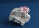 Delcampe - 12.91 G Pink Tourmaline Crystals In Quartz Matrix. Russia - Minerals