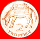 √ DONKEY: ST. HELENA + ASCENSION ★ 2 PENCE 2006 MINT LUSTER!  LOW START ★ NO RESERVE! - Santa Helena