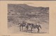 MAROC--Colonne ZAER-ZEMMOUR--passage De L'oued Grou--campagne Du Maroc 1912-13--voir 2 Scans - Autres & Non Classés