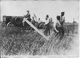 Somme Remise En état Du Terrain Par Des Prisonniers Allemands Tracteur Travaux Des Champs 1 Photo Ww1 1914-1918 - War, Military