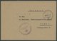 FELDPOST II. WK BELEGE 1942/44, SS-Leibstandarte Adolf Hitler: 3 Verschiedene Feldpostbriefe Mit Dienst- Und FP-Nummerns - Occupation 1938-45