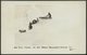 USA 359 BRIEF, 1934, Ansichtskarte Von Byrd Antarctic Expedition: Greetings From..., Mit Verschiedenen Poststempeln Und  - Autres & Non Classés