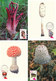 D32802 - 10 CARTES MAXIMUM CARDS FD 2008 NETHERLANDS - COMPLETE SERIES MUSHROOMS - SEE SCANS - CP ORIGINAL - Champignons