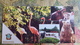 Ukraine. Nikolaev ZOO 2000s Hippo Bear Flamingo - Hippopotamuses