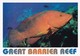 Postcard Great Barrier Reef Coral Cod [ By Peer ] PU 1997 My Ref  B22324 - Great Barrier Reef